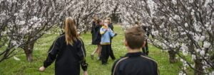 Blossom Garden at BMG